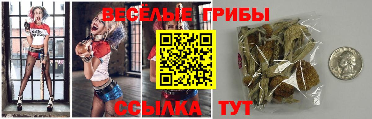 Псилоцибиновые грибы мицелий Богородск